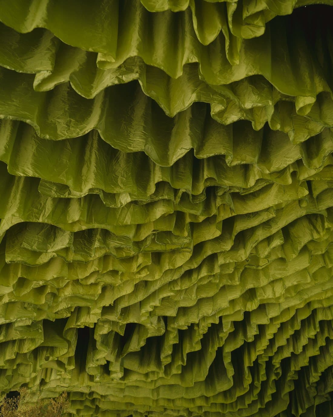 A close view of the moss canopy, its dense green texture filling the frame.
