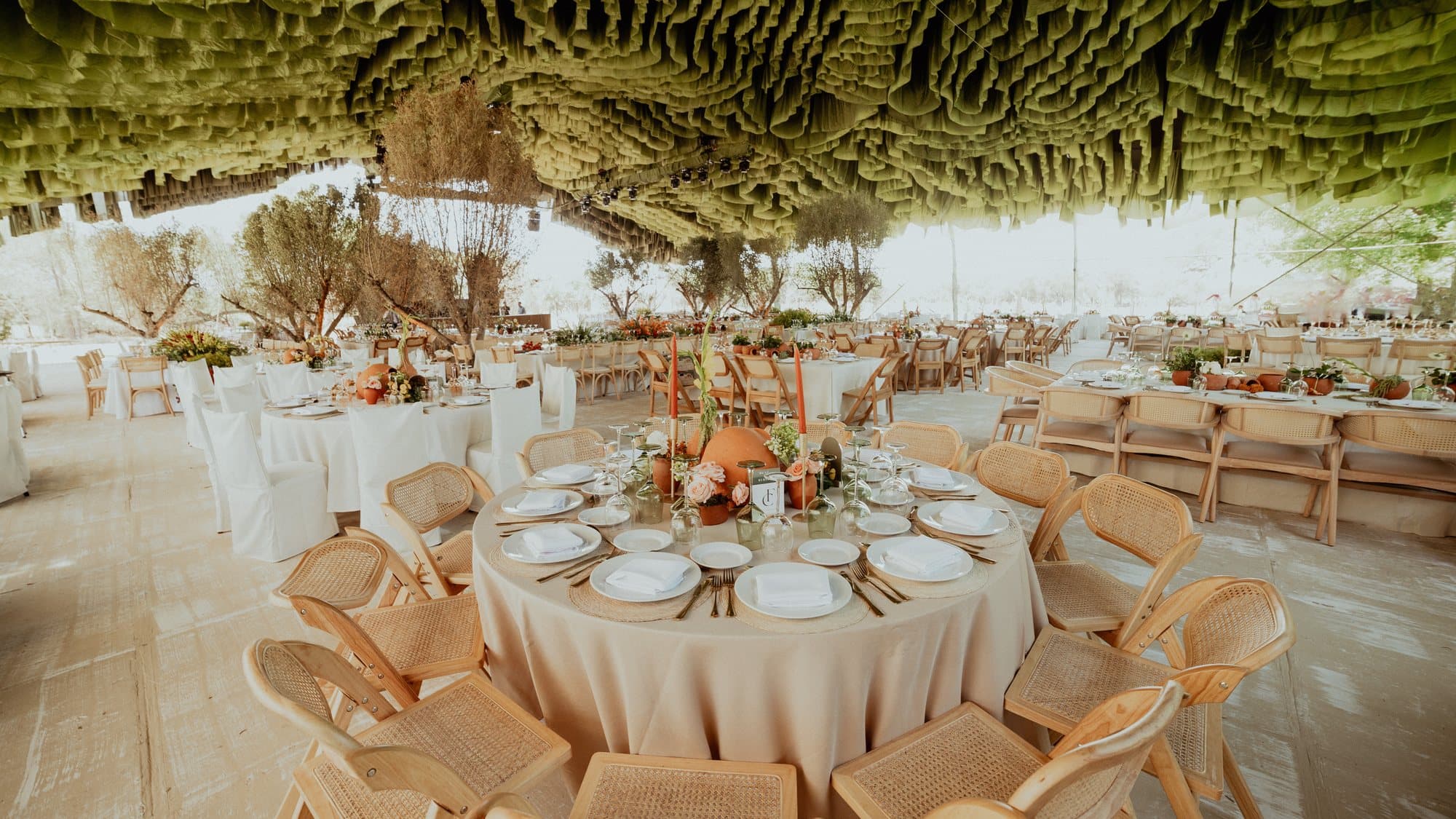 A dense moss canopy suspended over dining tables in an open grove, daylight filtering through the trees beyond.